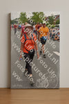 Evenement foto: Nijmeegse Vierdaagse 750