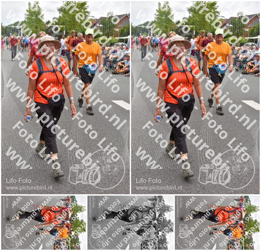 Evenement foto: Nijmeegse Vierdaagse 750