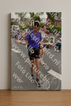 Evenement foto: Nijmeegse Vierdaagse 750
