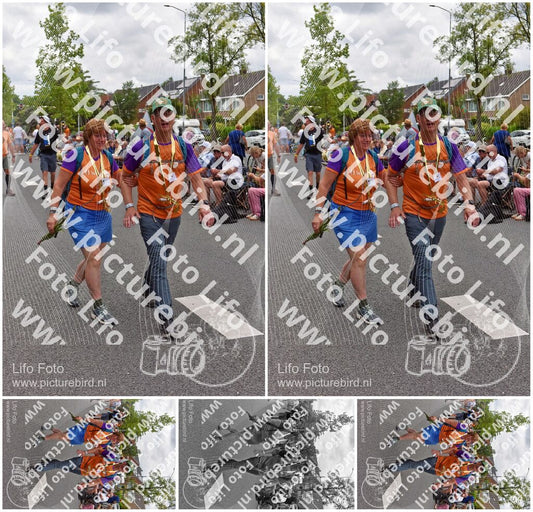 Evenement foto: Nijmeegse Vierdaagse 750