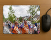 Evenement foto: Nijmeegse Vierdaagse 750