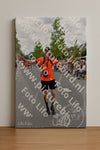 Evenement foto: Nijmeegse Vierdaagse 750