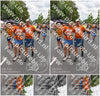 Evenement foto: Nijmeegse Vierdaagse 750