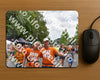 Evenement foto: Nijmeegse Vierdaagse 750