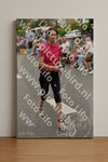Evenement foto: Nijmeegse Vierdaagse 750