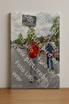 Evenement foto: Nijmeegse Vierdaagse 750