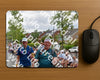 Evenement foto: Nijmeegse Vierdaagse 750