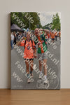 Evenement foto: Nijmeegse Vierdaagse 750
