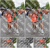 Evenement foto: Nijmeegse Vierdaagse 750
