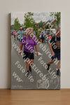 Evenement foto: Nijmeegse Vierdaagse 750