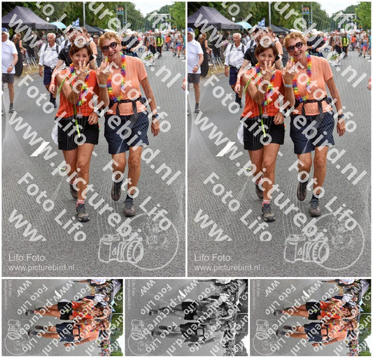 Evenement foto: Nijmeegse Vierdaagse 750