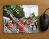 Evenement foto: Nijmeegse Vierdaagse 750