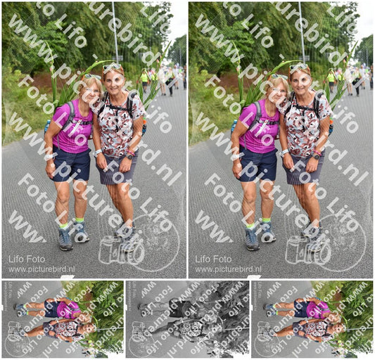 Evenement foto: Nijmeegse Vierdaagse 749