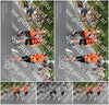 Evenement foto: Nijmeegse Vierdaagse 749