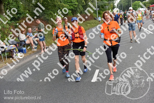 Evenement foto: Nijmeegse Vierdaagse 749