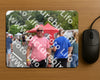 Evenement foto: Nijmeegse Vierdaagse 749