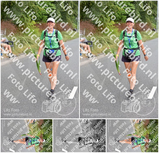 Evenement foto: Nijmeegse Vierdaagse 749