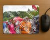 Evenement foto: Nijmeegse Vierdaagse 749