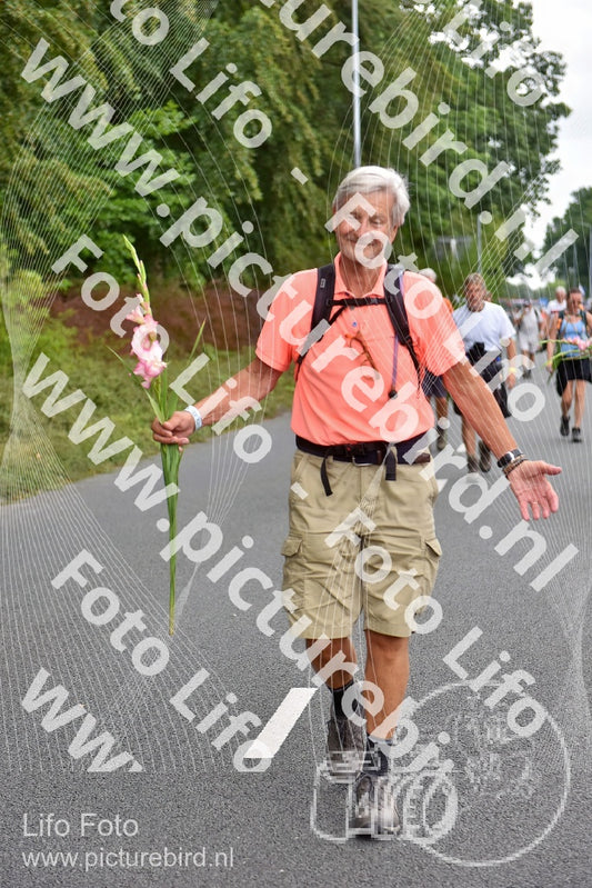 Evenement foto: Nijmeegse Vierdaagse 749