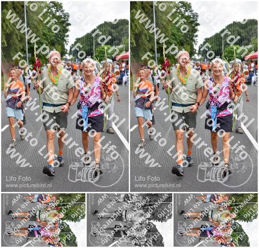 Evenement foto: Nijmeegse Vierdaagse 749
