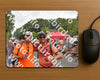 Evenement foto: Nijmeegse Vierdaagse 749