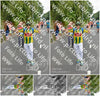 Evenement foto: Nijmeegse Vierdaagse 749