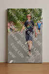 Evenement foto: Nijmeegse Vierdaagse 749