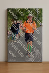 Evenement foto: Nijmeegse Vierdaagse 749