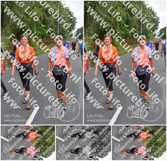 Evenement foto: Nijmeegse Vierdaagse 749