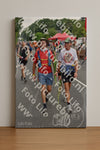 Evenement foto: Nijmeegse Vierdaagse 749