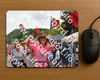 Evenement foto: Nijmeegse Vierdaagse 749