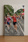 Evenement foto: Nijmeegse Vierdaagse 749
