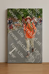 Evenement foto: Nijmeegse Vierdaagse 749