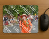 Evenement foto: Nijmeegse Vierdaagse 749
