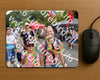 Evenement foto: Nijmeegse Vierdaagse 749