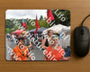 Evenement foto: Nijmeegse Vierdaagse 749