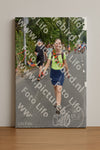 Evenement foto: Nijmeegse Vierdaagse 749