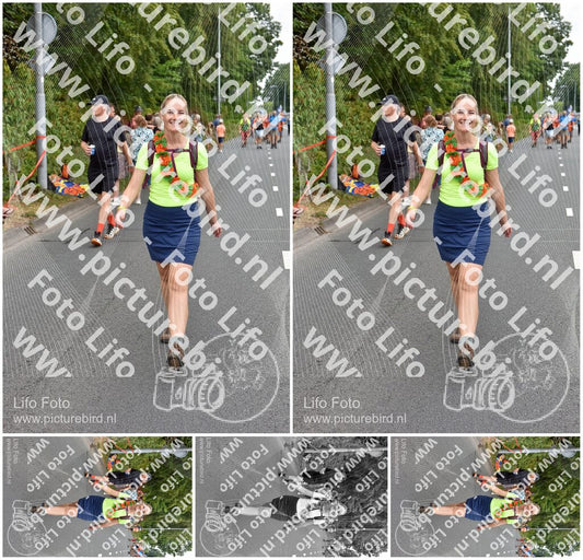 Evenement foto: Nijmeegse Vierdaagse 749