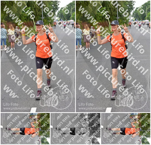 Evenement foto: Nijmeegse Vierdaagse 748