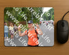 Evenement foto: Nijmeegse Vierdaagse 748