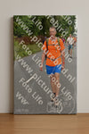 Evenement foto: Nijmeegse Vierdaagse 748