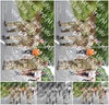 Evenement foto: Nijmeegse Vierdaagse 748