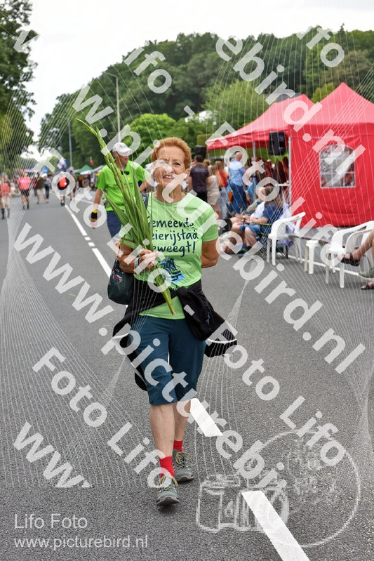 Evenement foto: Nijmeegse Vierdaagse 748