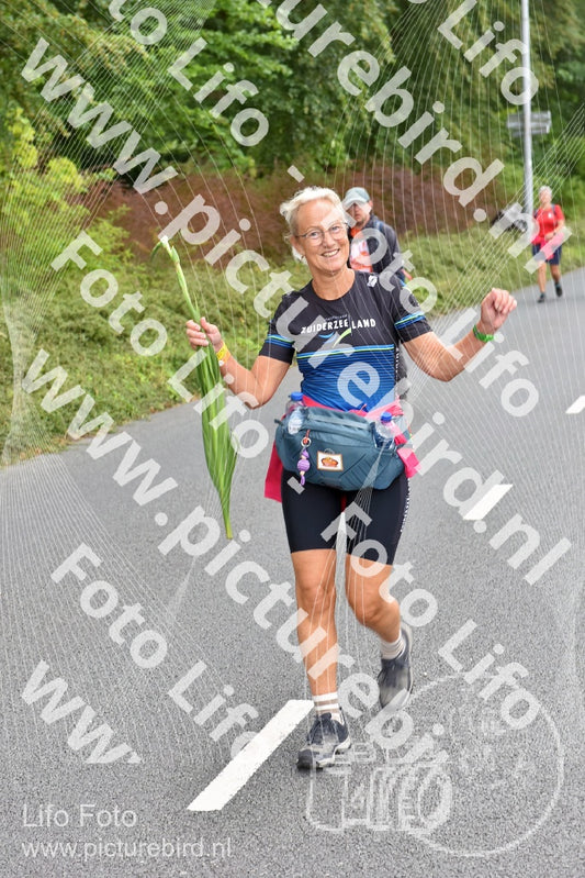 Evenement foto: Nijmeegse Vierdaagse 748