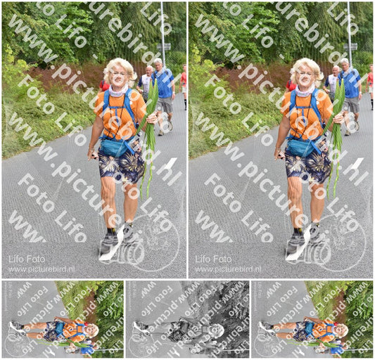 Evenement foto: Nijmeegse Vierdaagse 748