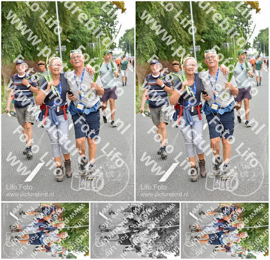 Evenement foto: Nijmeegse Vierdaagse 748