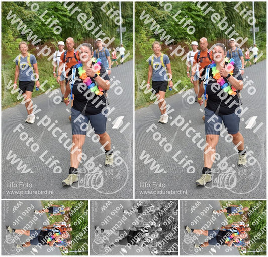 Evenement foto: Nijmeegse Vierdaagse 748