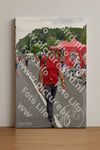 Evenement foto: Nijmeegse Vierdaagse 748