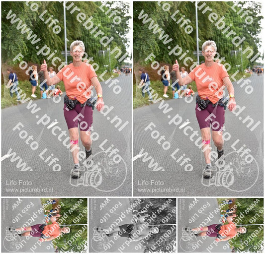 Evenement foto: Nijmeegse Vierdaagse 748