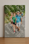 Evenement foto: Nijmeegse Vierdaagse 748